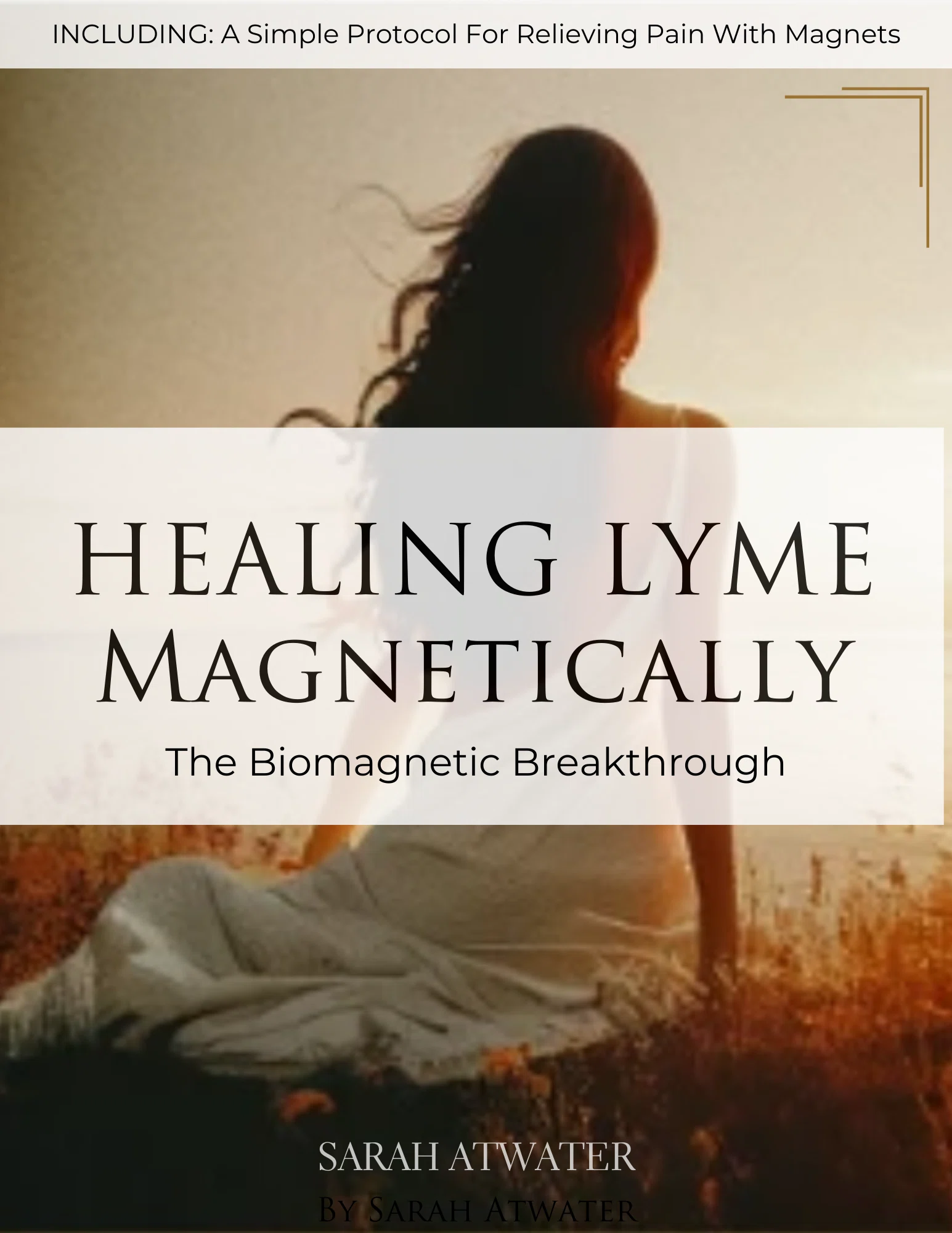 Biomagnetic Lyme Kit Promo Code
