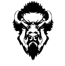 Bison Paddles Merchant Logo