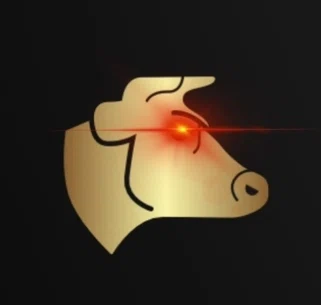 Bit Bull Merchant Logo