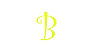 Bitheap.tech Merchant Logo