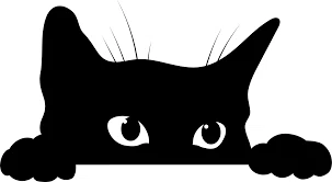 Black Cat Tees Merchant Logo