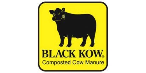 Black Kow Promo Code