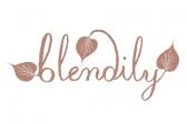 Blendily Promo Code