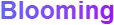 Blooming Merchant Logo
