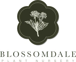 Blossomdale Promo Code