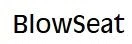 BlowSeat Merchant Logo