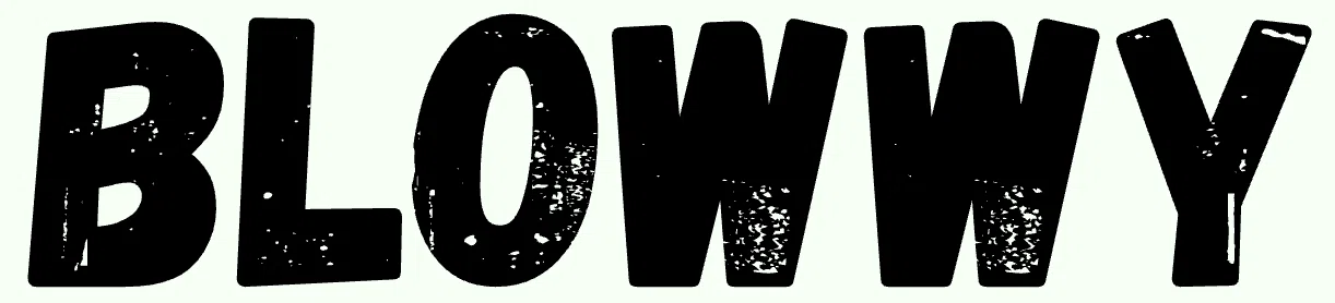 Blowwy Merchant Logo