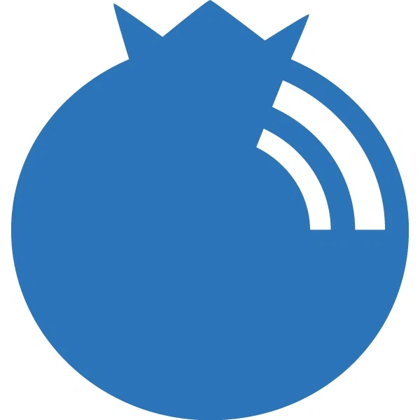 Blubrry Podcasting coupons