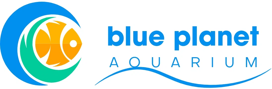 BLUE AQUARIUM Discount Code — 200 Off 2024