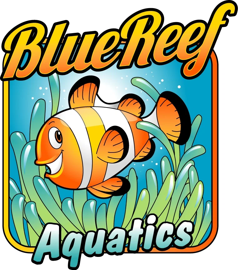 20 Off Blue Reef Aquatics Promo Code, Coupons Feb 2024
