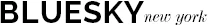 Bluesky New York Merchant Logo