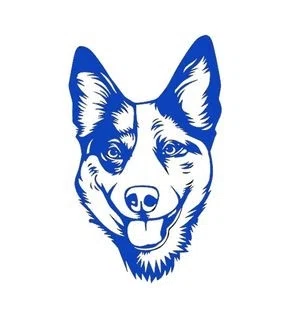 BLUEY'S TIPS Promo Code — 150 Off in September 2024