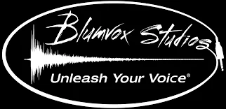 Blumvox Studios Merchant Logo