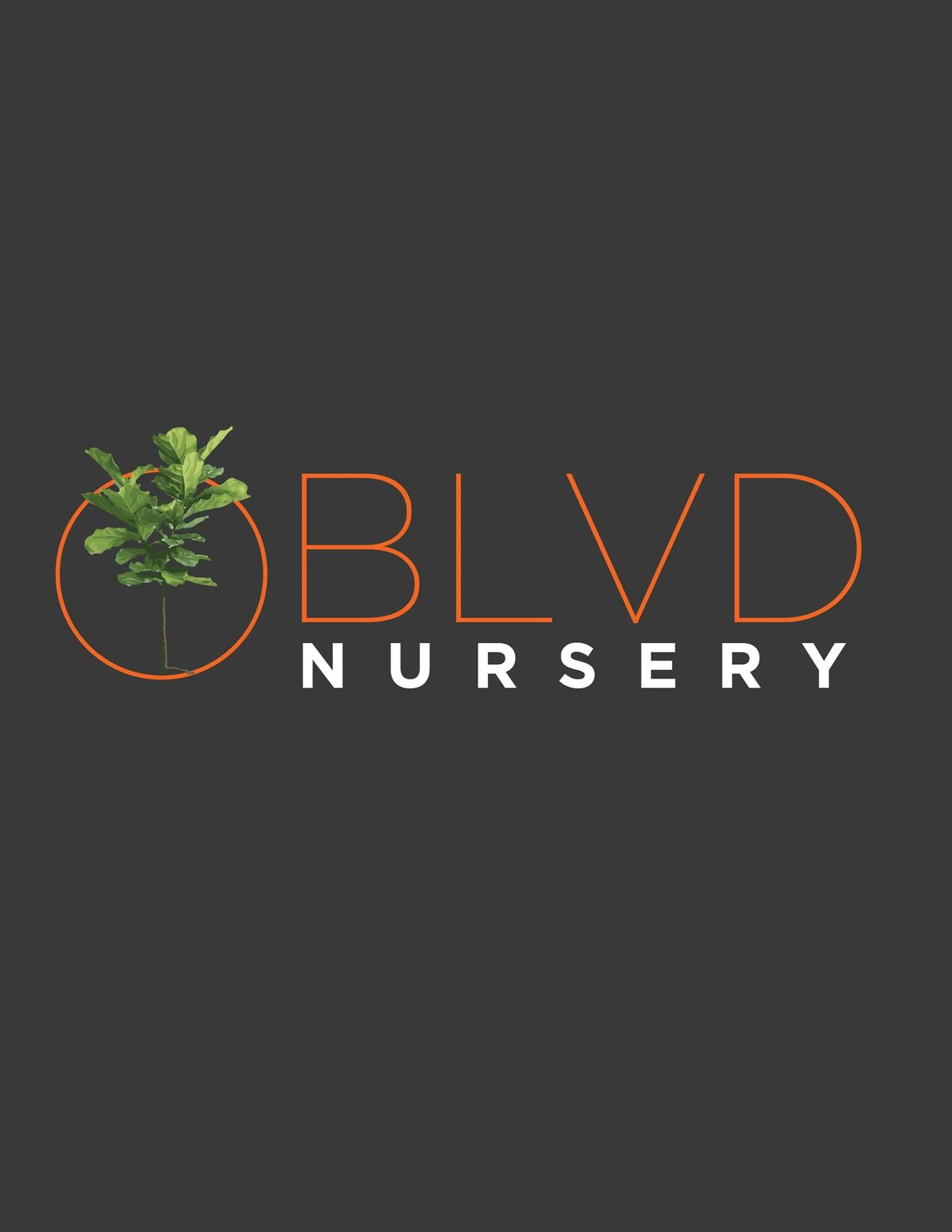BLVD NURSERY Promo Code — 20 Off (Sitewide) 2024