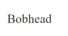 Bobhead Merchant Logo