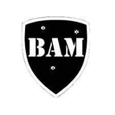 Body Armor Megastore Merchant Logo