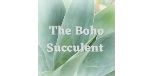 The Boho Succulent The Boho Succulent