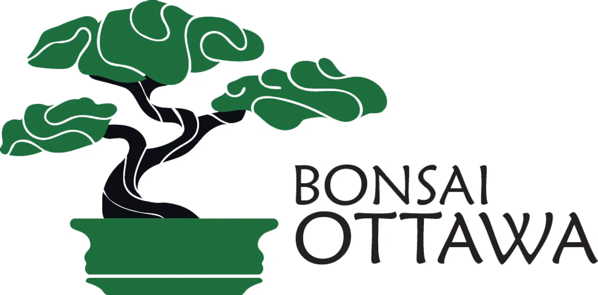 BONSAI OTTAWA Promo Code — Get 15 Off in June 2024