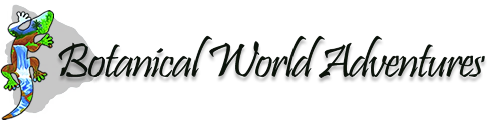 Botanical World Adventures Merchant Logo