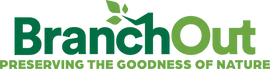 BranchOut Food Promo Code