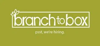 Branch to Box Promo Code