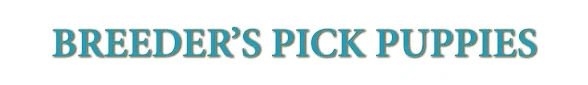 BREEDER'S PICK PUPPIES Promo Code — 200 Off 2024
