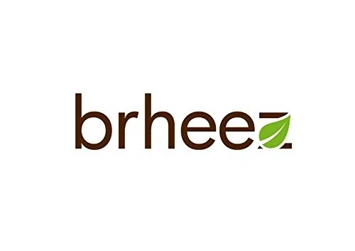 Brheez Merchant Logo
