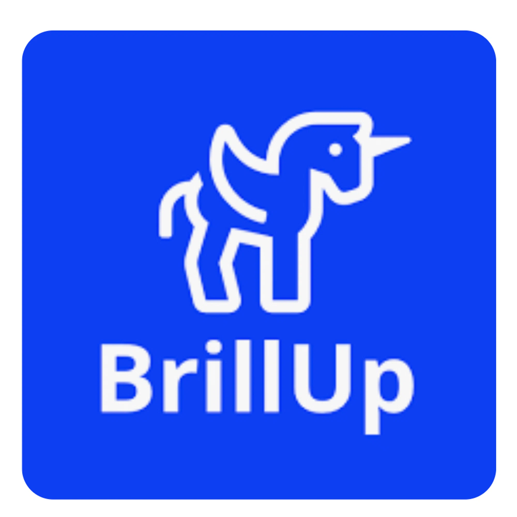 BrillUp Merchant Logo