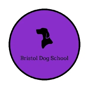 BRISTOL DOG SCHOOL Discount Code — 200 Off Jul 2024