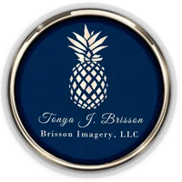 Brisson Imagery Merchant Logo