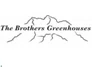 THE BROTHERS GREENHOUSES Promo Code — 150 Off 2024