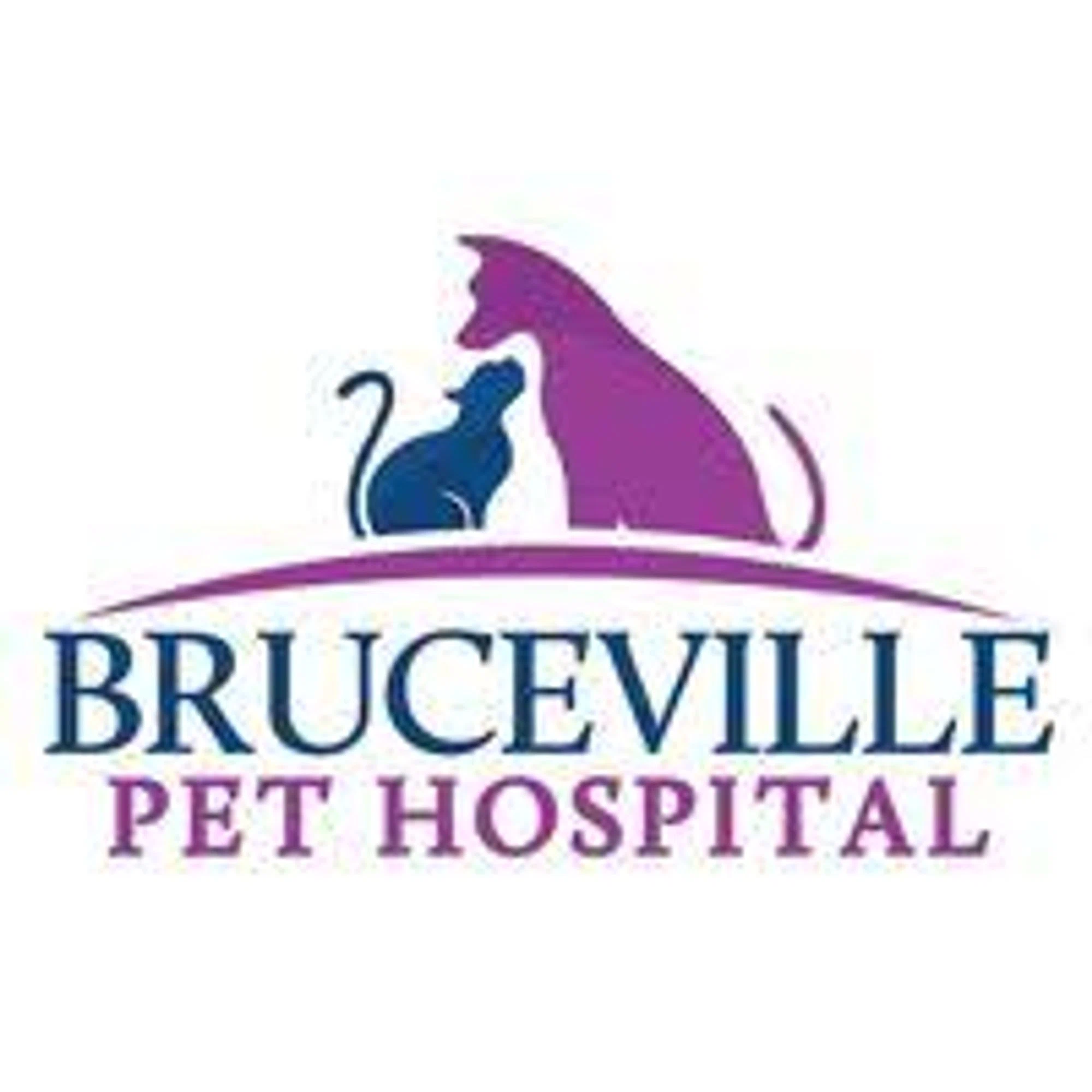 Bruceville Pet Hospital discount code