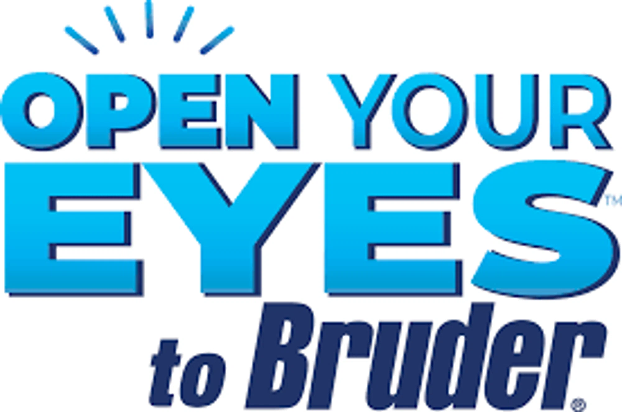 Bruder Healthcare Merchant Logo