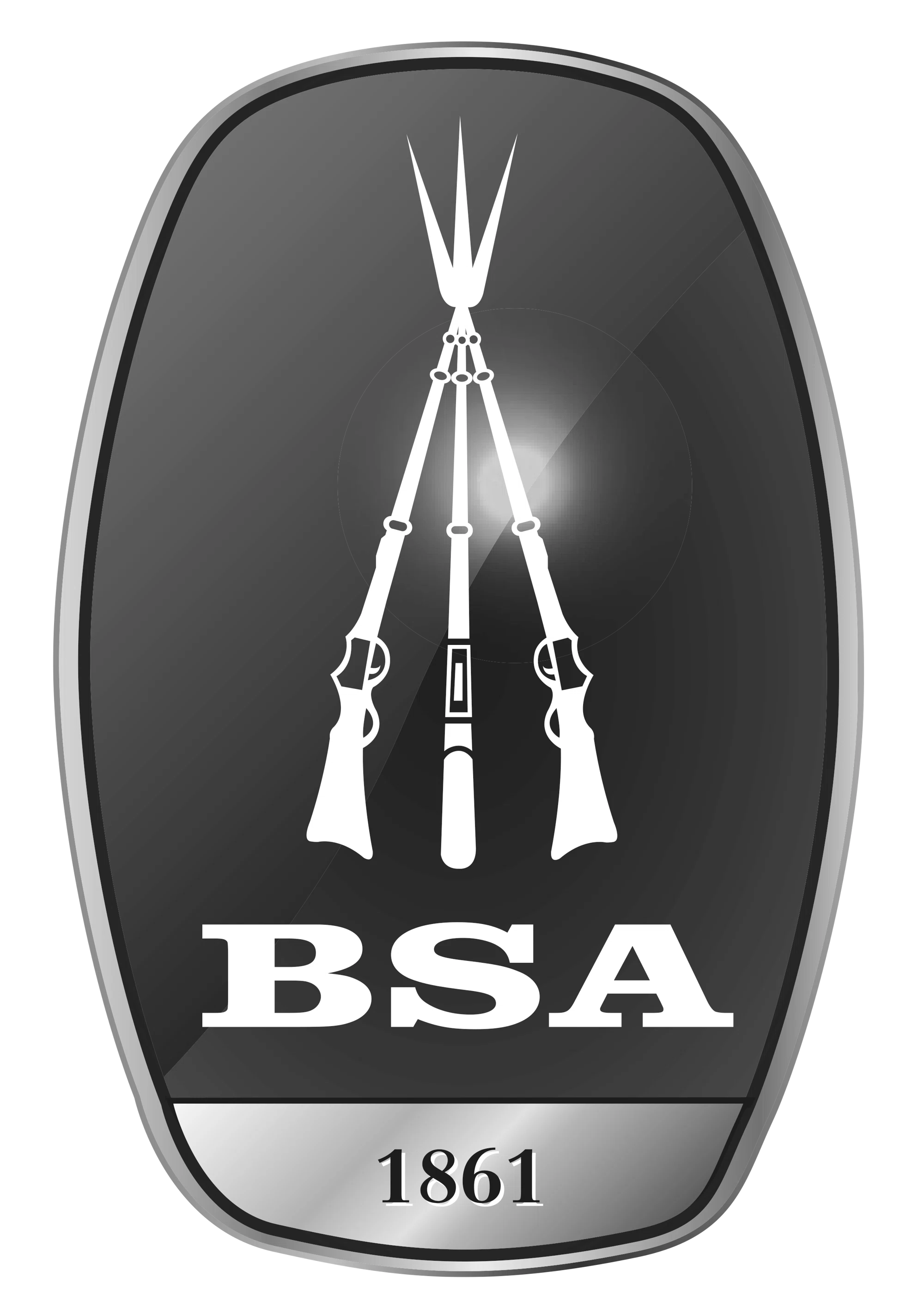 BSA Guns Promo Code