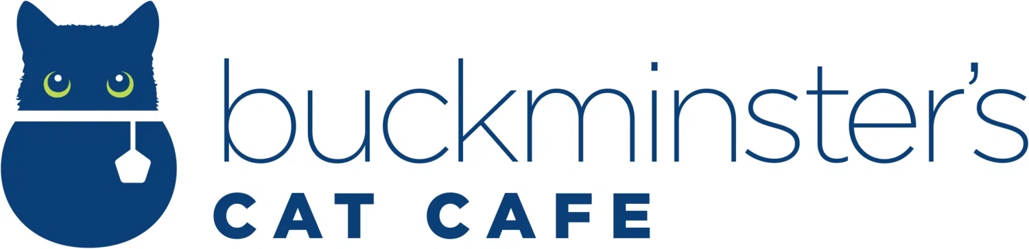 BUCKMINSTER'S CAT CAFE Promo Code — 200 Off 2024