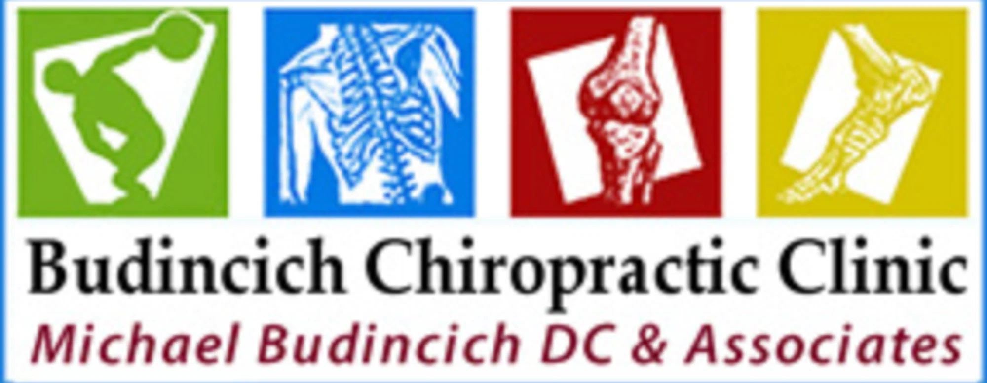 Budincich Chiropractic Clinic Merchant Logo