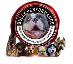 Bully Performance Promo Code