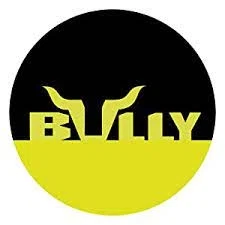 Bully Truck Accessories Merchant Logo