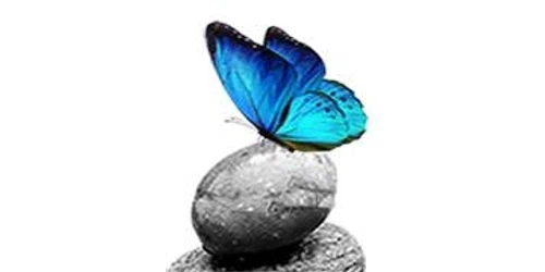 Butterfly Express Quality Essential Oils Promo Code