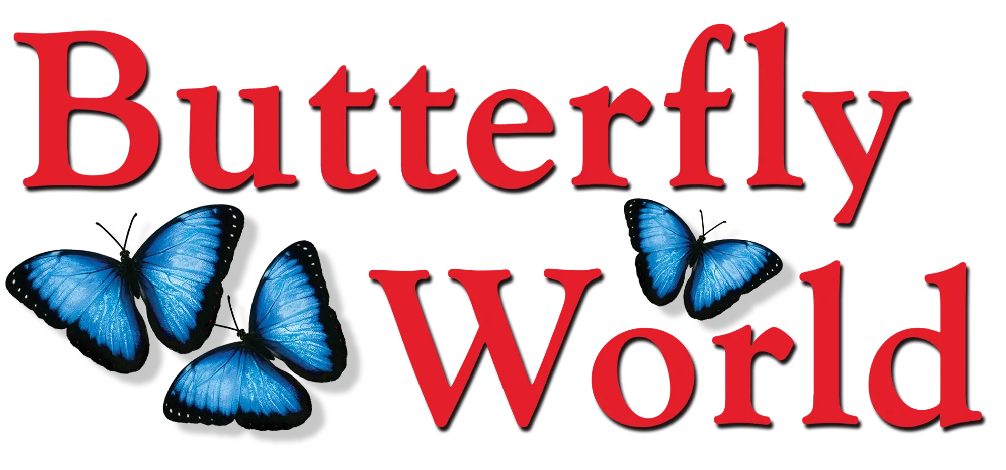 BUTTERFLY WORLD Promo Code — 50 Off in Sep 2024