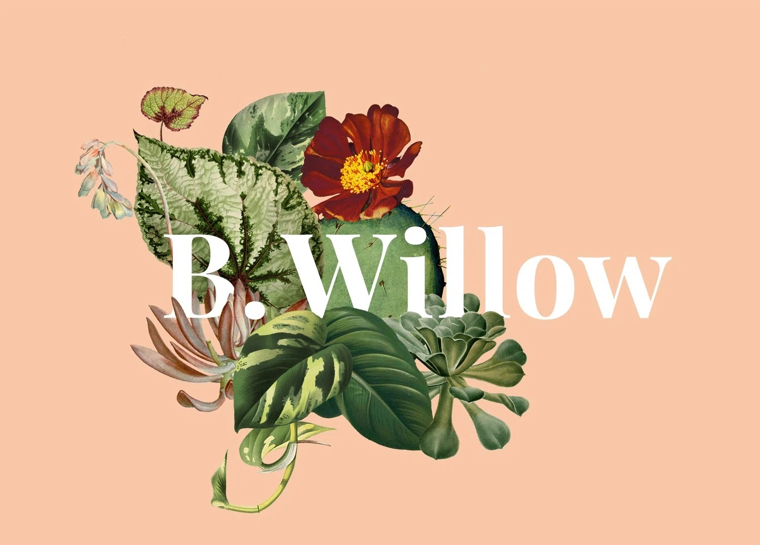 B.Willow Promo Code