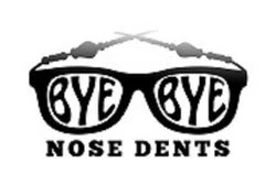 Bye-Bye Nose Dents Promo Code