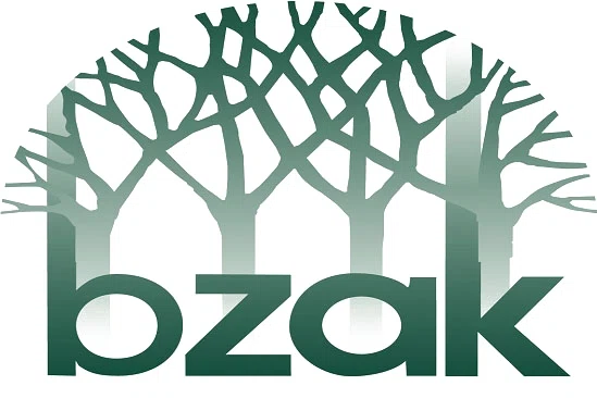 Bzak Promo Code