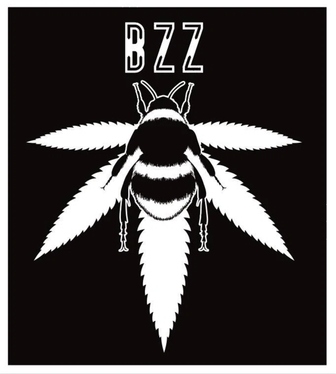 Bzz Box Promo Code