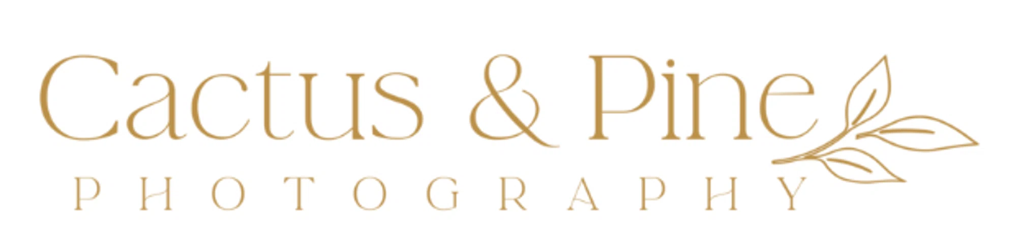 CACTUS & PINE PHOTOGRAPHY Promo Code — 200 Off 2024