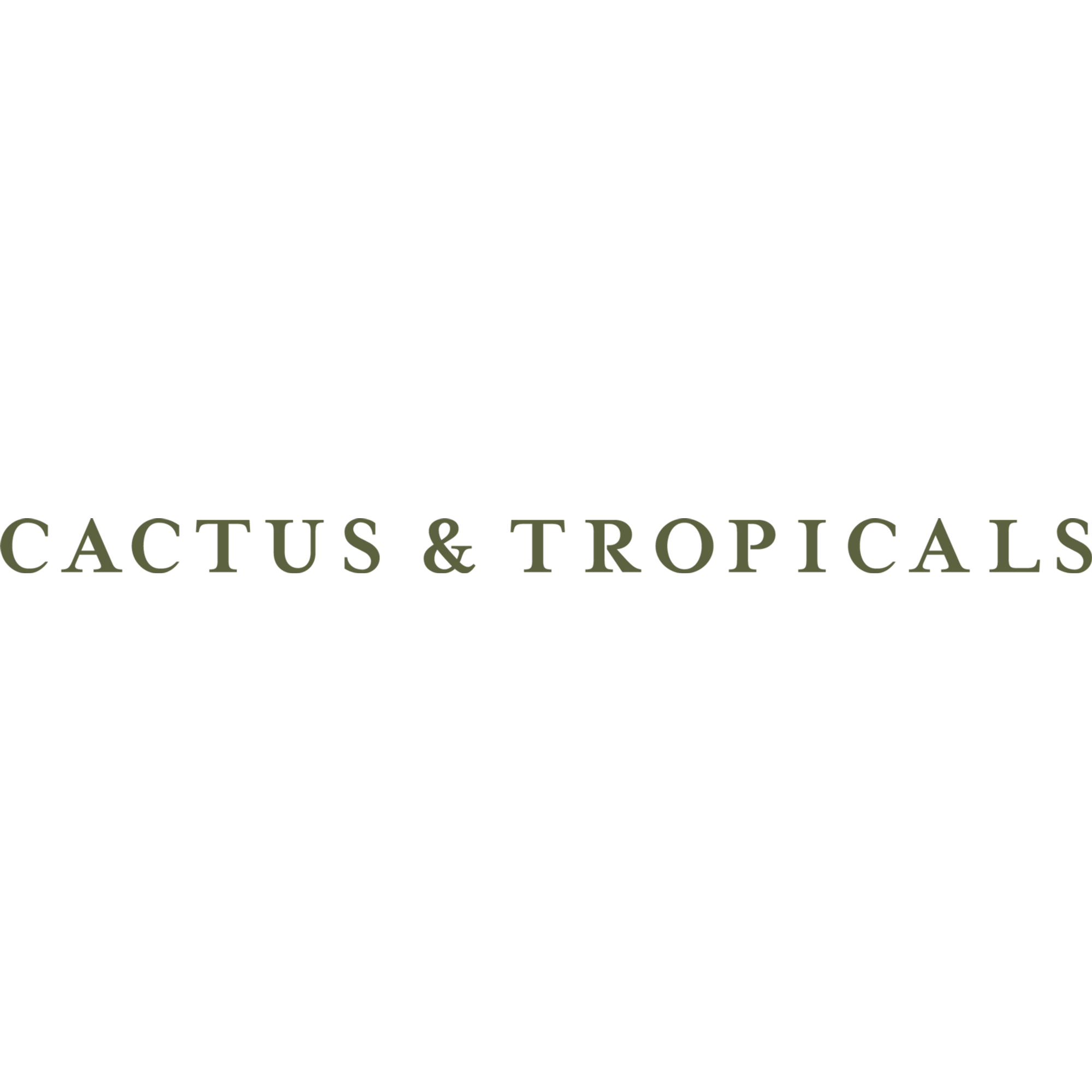 CACTUS & TROPICALS Promo Code — 200 Off in Aug 2024