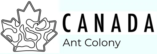 Canada Ant Colony Promo Code
