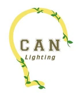 Can Lighting Promo Code