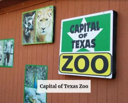 Capital of Texas Zoo Merchant Logo