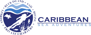 Caribbean Sea Adventures Merchant Logo